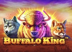 Buffalo King BC.Game Casino Slot