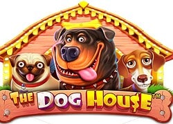 Dog House BC.Game Casino Game